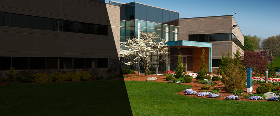 Newfane Landscapers
