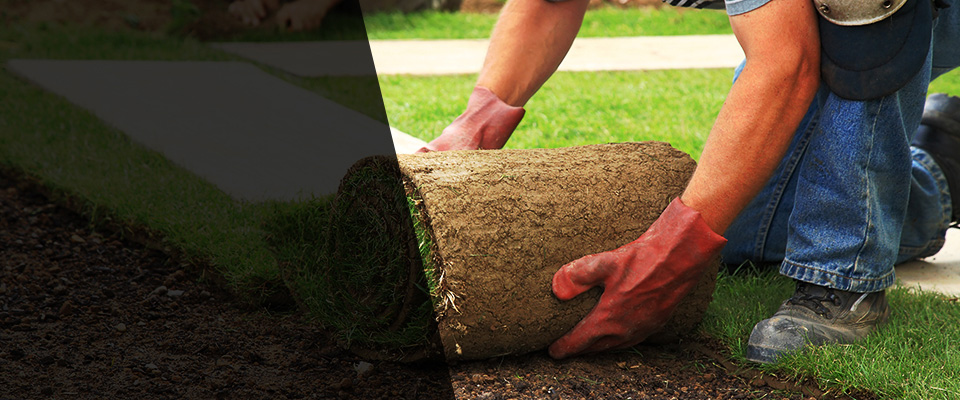 Newfane Landscapers